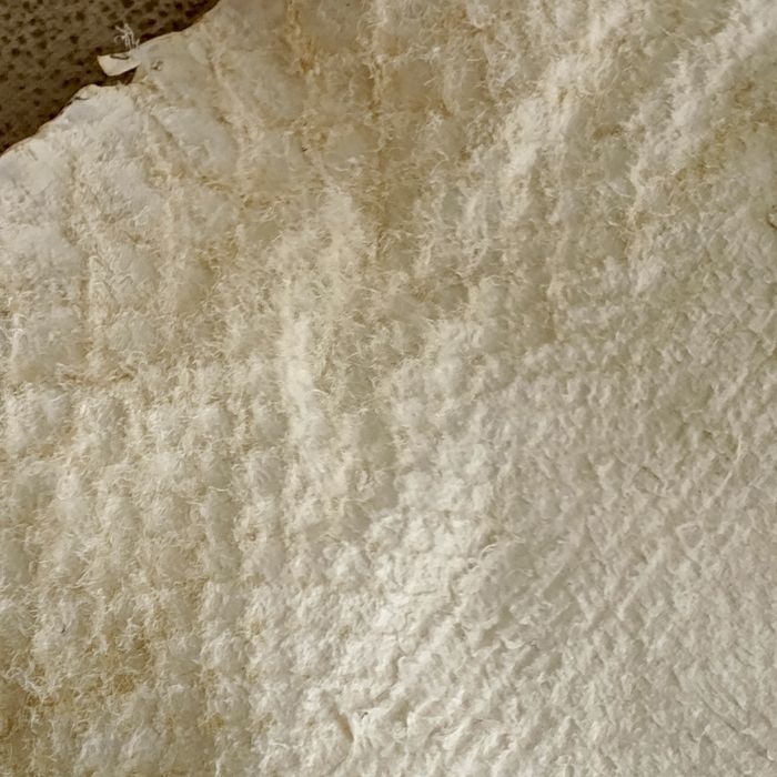 Огромна кожа от питон