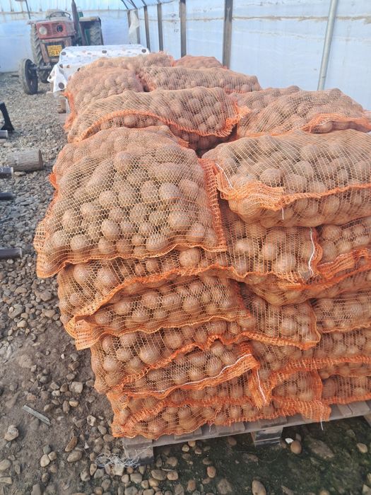 Cartofi de samanta elita