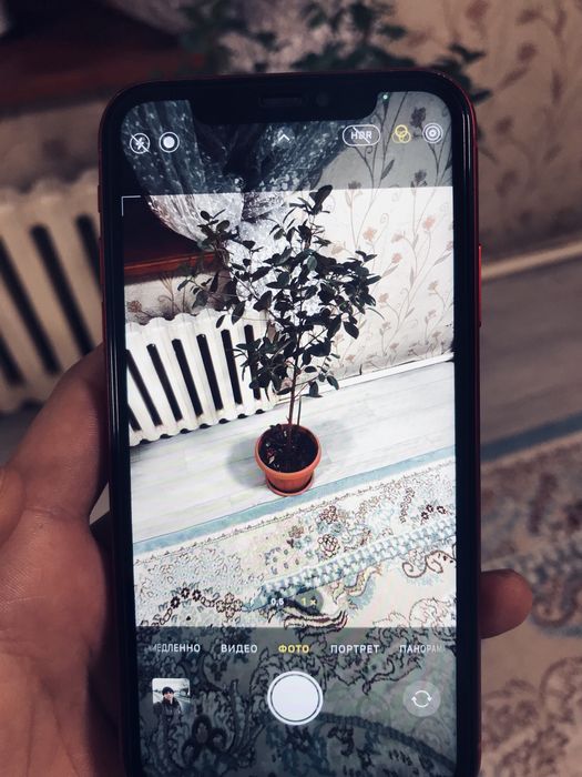 Прадам Айфон 11 Красный