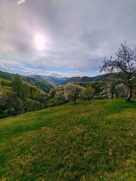 Vând casă locuibilă cu teren aferent  în Satul Alun(Comuna Boșorod)