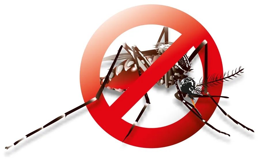 Дезинфекция от мух и коморов