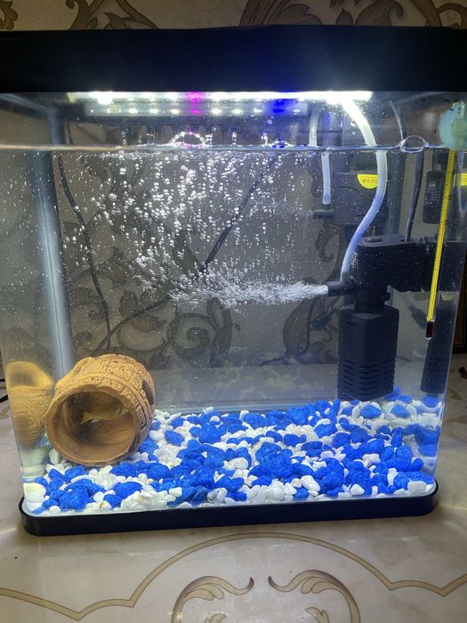 akvarim sotiladi 20 lt baliq filtor hamma narsasi bor