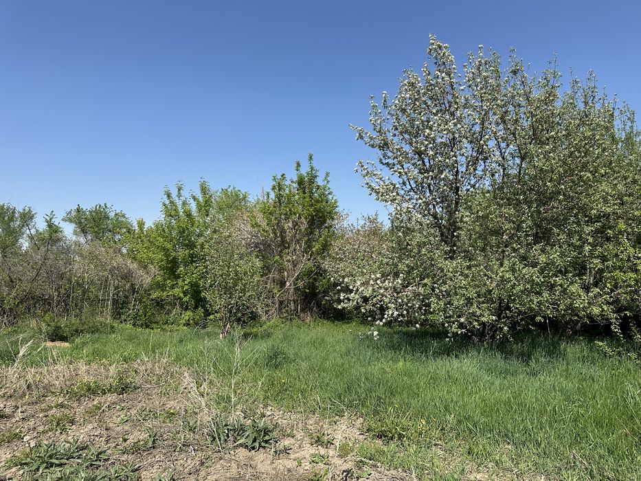 Срочно продается дача