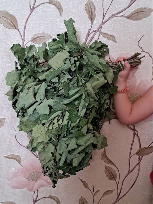 Веники для бани дуб