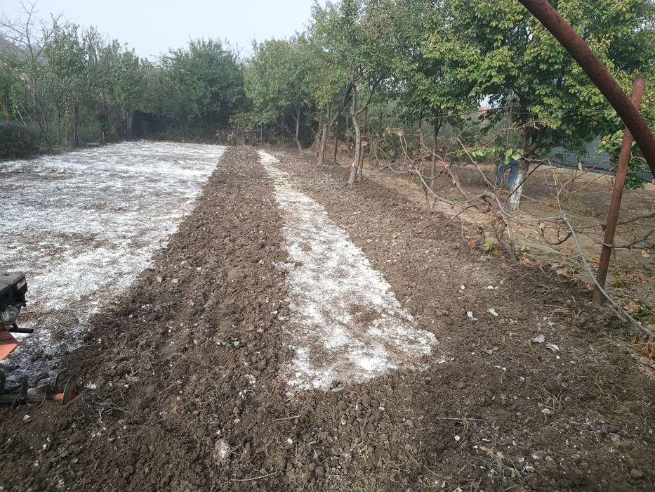 Săp gradina mecanizat