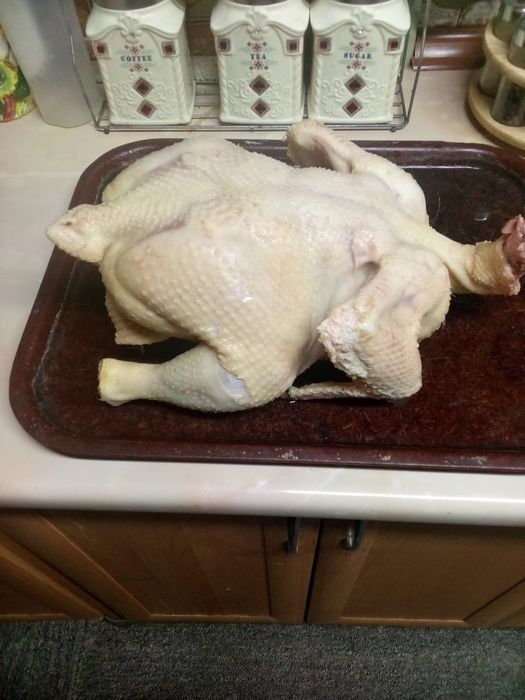 Продам курочек домашние бролеры