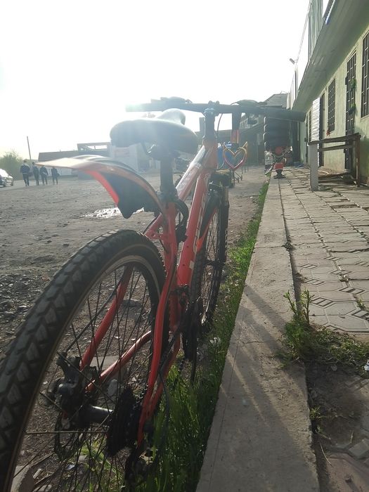 Велик LEITE красный договор есть