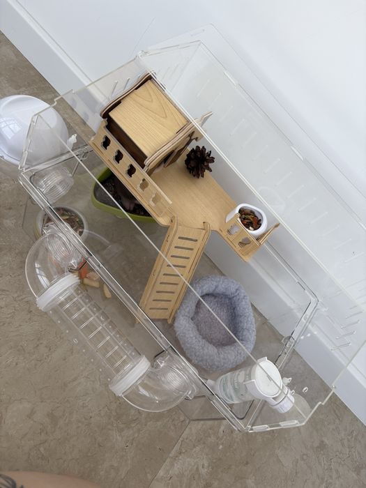 Продам крыс с клеткой