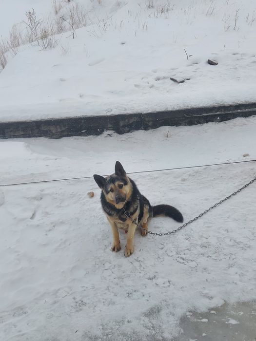 Вязка ВЕО Астана