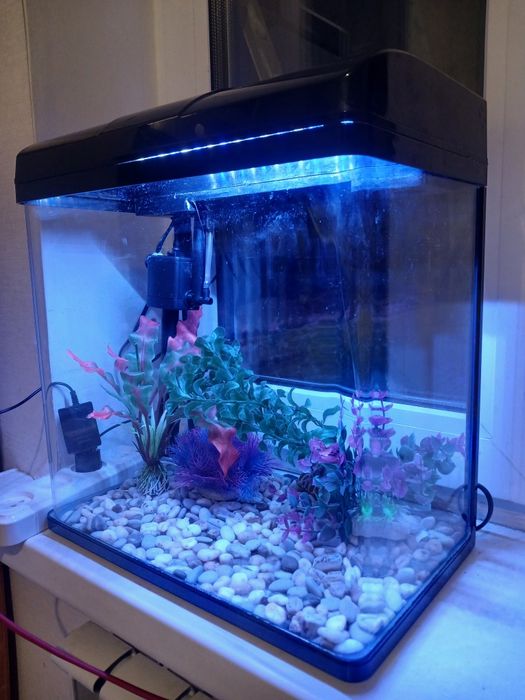 Заводской аквариум на 22 L.