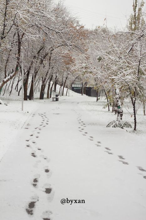 Canon zoom lens ef 50mm