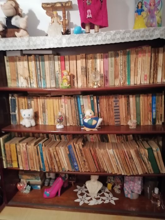 OFERTA : Vând cca 450 cărți de literatura română și universală