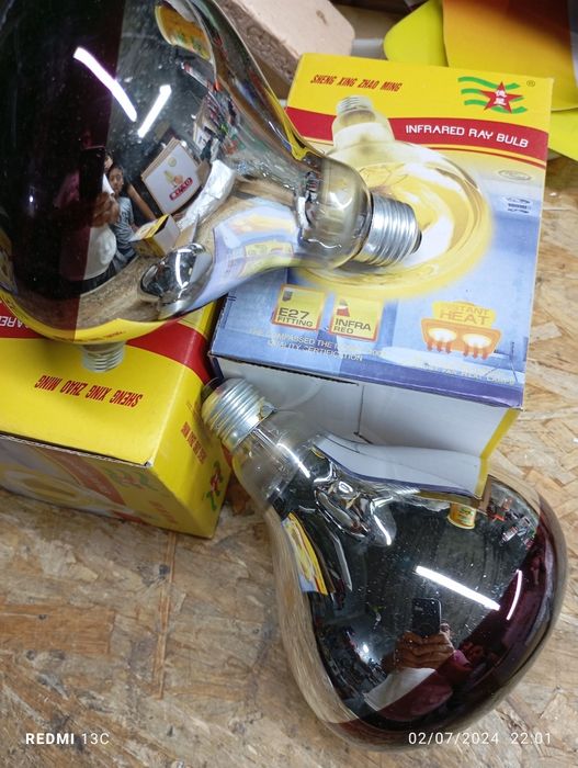 Брудер учун лампа 150 ватт