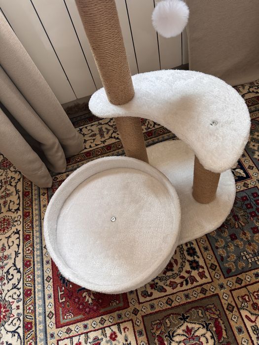 Котешка катерушка