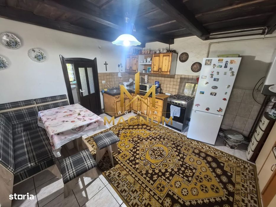 Casă P+M de vânzare | 450 mp teren | Centru Baia Sprie
