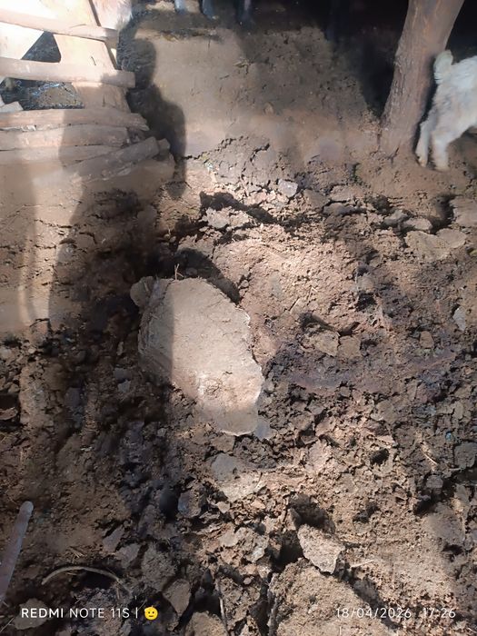 Nuri sotiladi NURI CHALMA QUYDIKI Moldiki