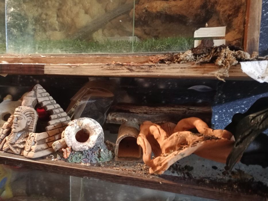 Декор аквариумный