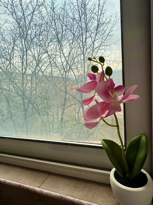 Прекрасен Тристаен срещу The Mall