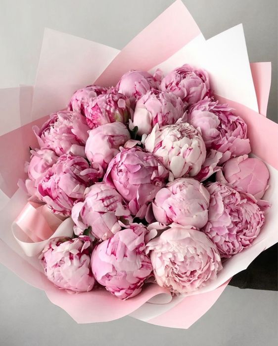 Пионы, Розы, букеты композиции