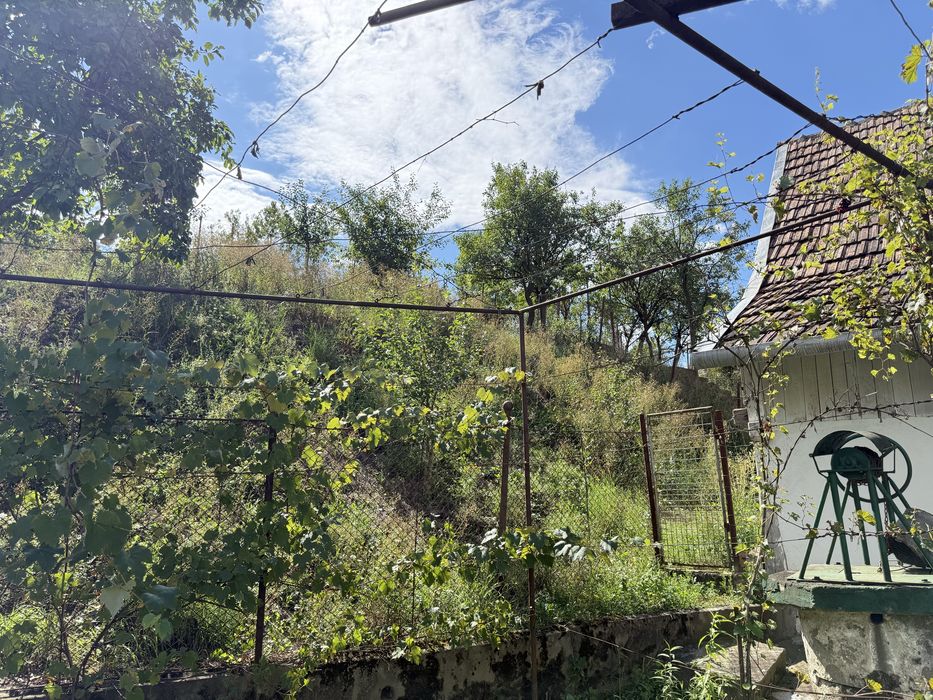 Casa complet utilata plus sura si 2500mp teren in Comuna Jidvei, Sat Feisa, Jud. Alba
