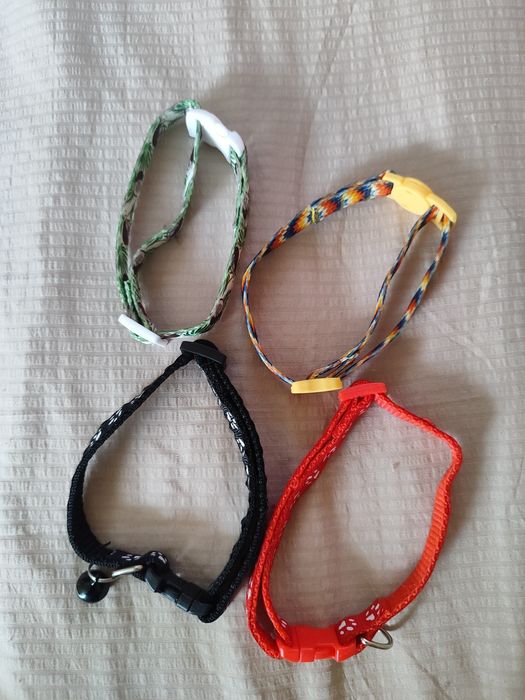 Одежда для питомцев