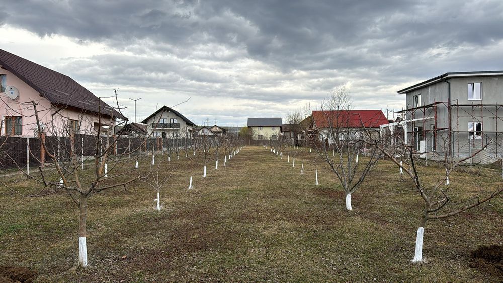 Teren intravilan vanzare strada Traian Popovici , burdujeni Suceava