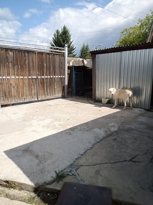 Продам благоустроенный дом