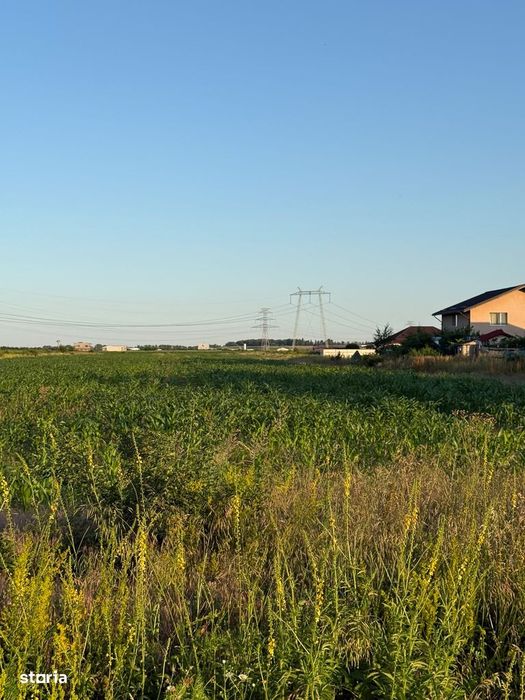 Teren de 500 mp , strada ortansei Clinceni