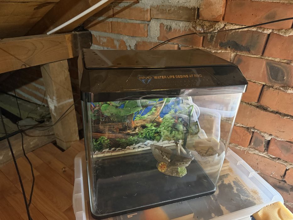 Acvariu de 40 L cu toate accesoriile