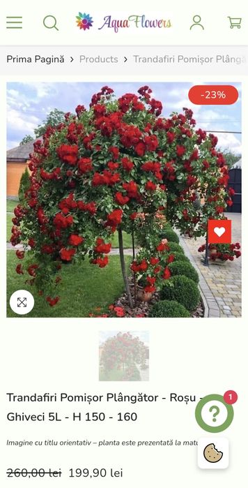 Camere chirie lânga Kaufland Pitesti Nord = 74 Euro/Perosoană