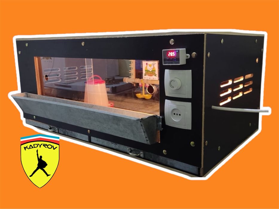 Брудер Технологии выращивания птицы, доступные каждому