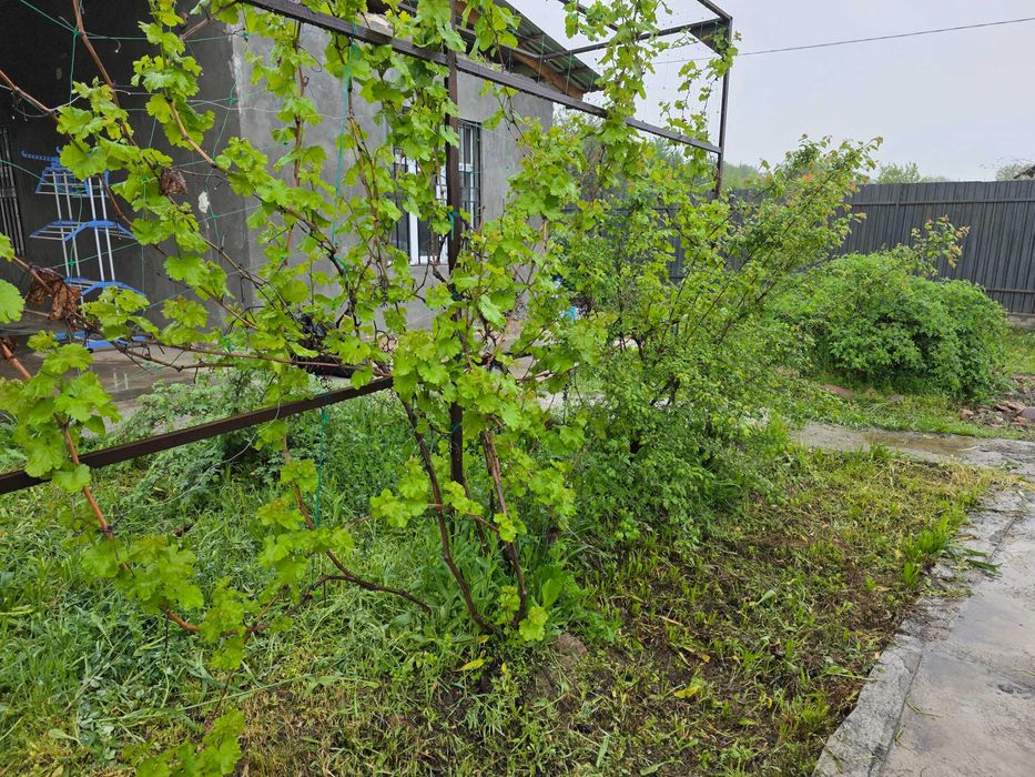 Сдается своя дача