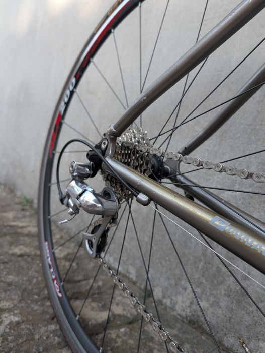 Cursiera Pinnacle Sentinal 3.0