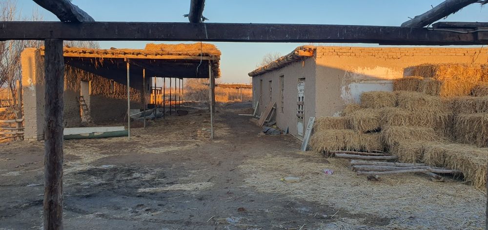 Ferma turar joy maydoni turar 6600 kv