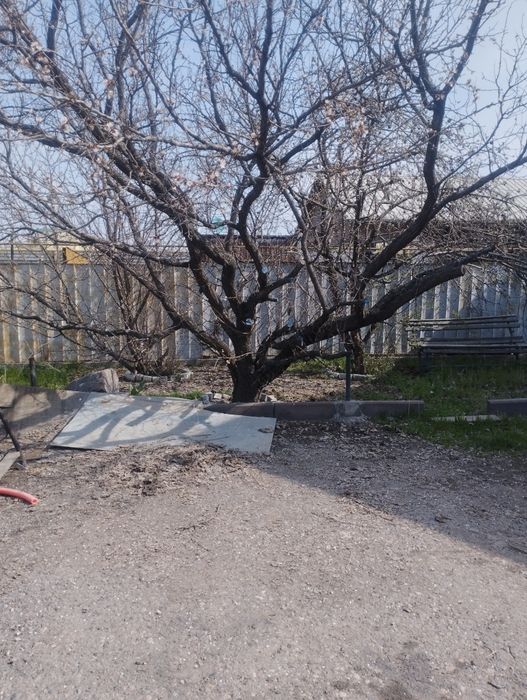 Дрова бесплатно самовывоз