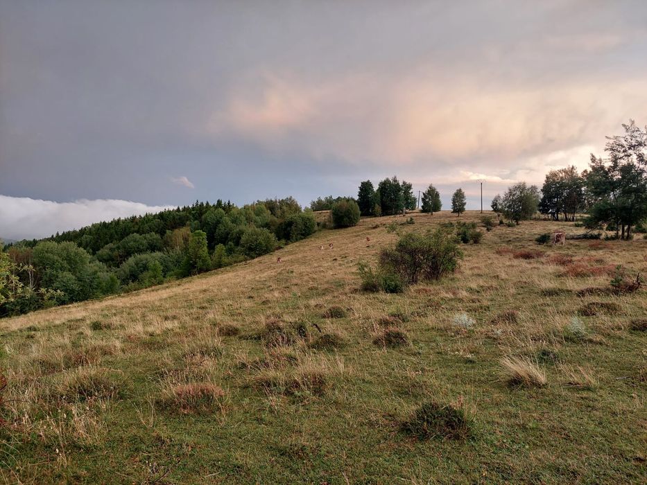 Teren de vânzare