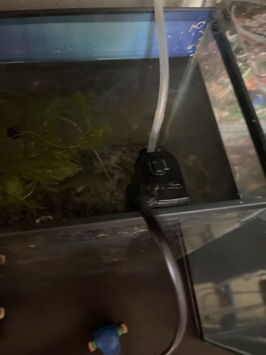 Компрессор для аквариума