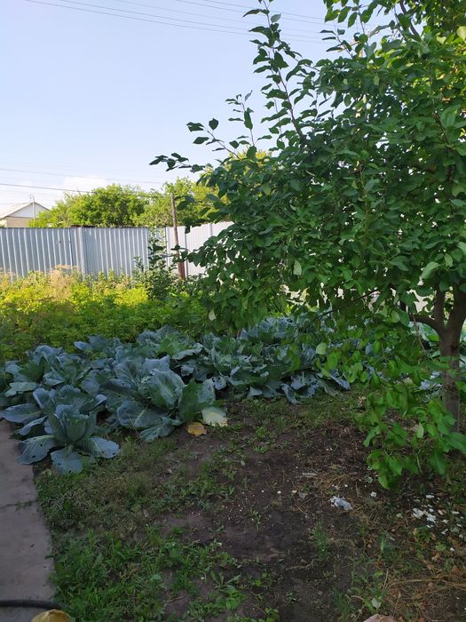 Продам дом район ЖД вокзала