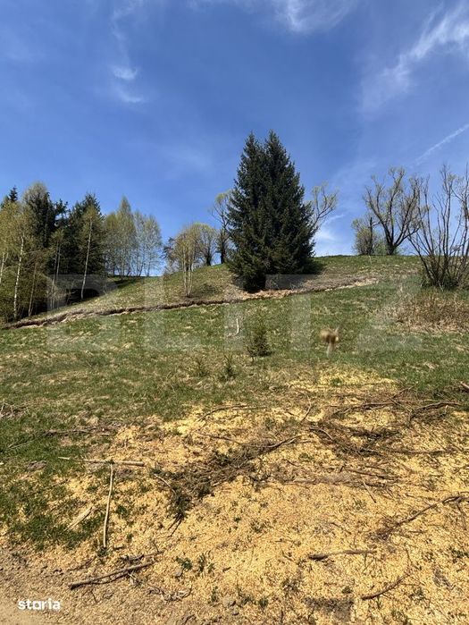 Teren in Vatra Dornei, str Rosu, 8450 mp, extravilan + intravilan