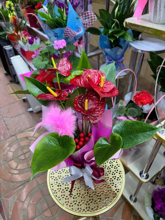 8 mart uchun sovg'aga berish uchun arzon xona gullari