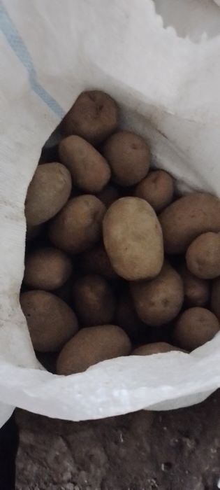 Cartofi rosii si albi