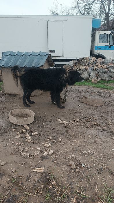 тегын берем. 4жаста