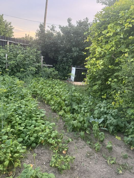 Продам коттедж  пос Кенгир подзоз