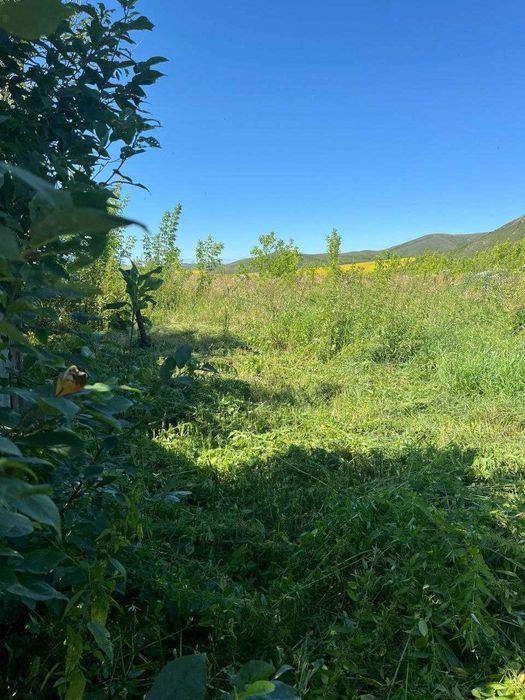 Продам дом в селе Быструха