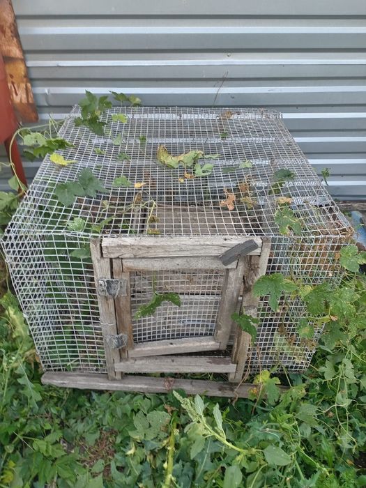 Клетки для кроликов
