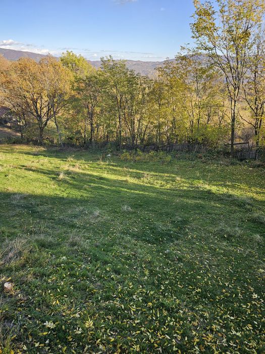 Vând loturi intravilane!