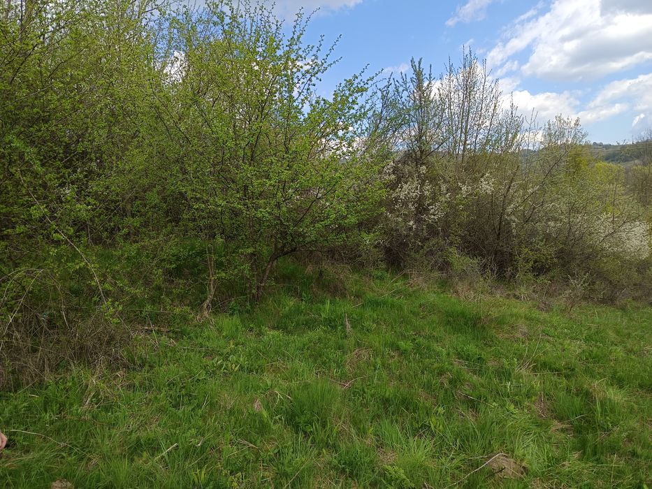 Vând teren extravilan 3700 m2