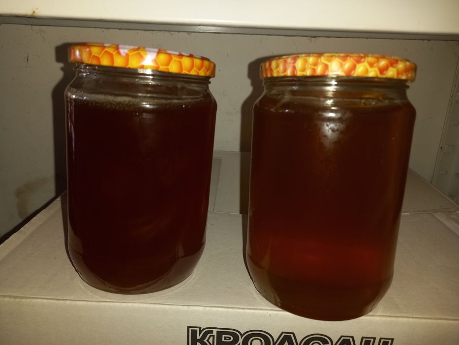 Натурален пчелен мед 100%от природата