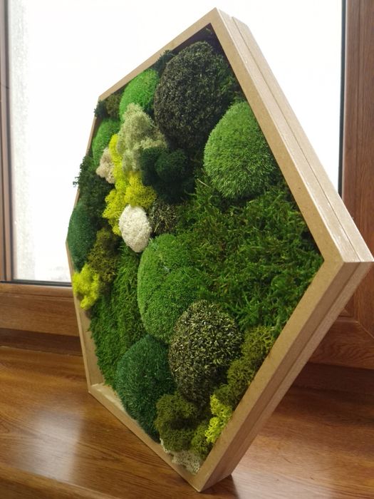 Tablou hexagonal din muschi si licheni 45.5 cm