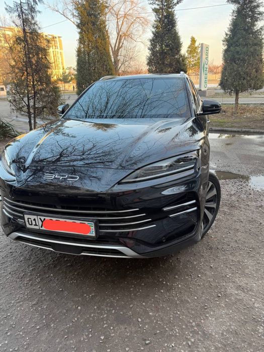 Сухой аренда BYD champion gibrid